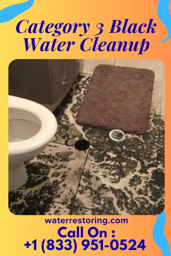 Category 3 Black Water Cleanup in Collins, IA